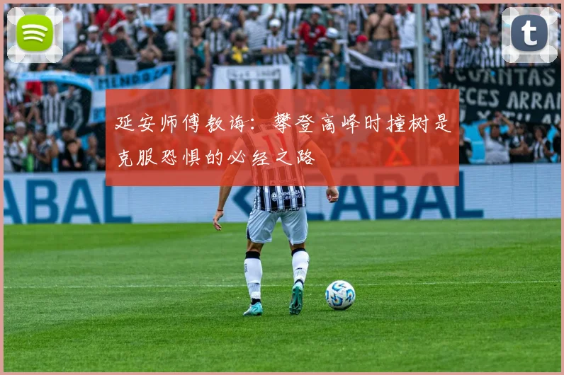 延安师傅教诲：攀登高峰时撞树是克服恐惧的必经之路